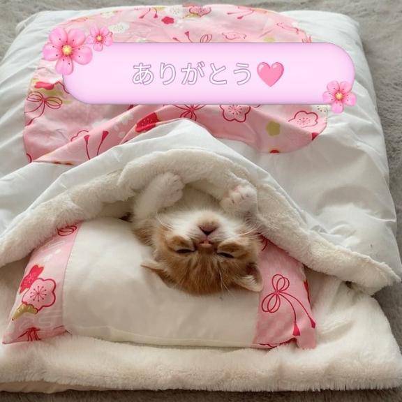 まい 癒し系　ローション風呂