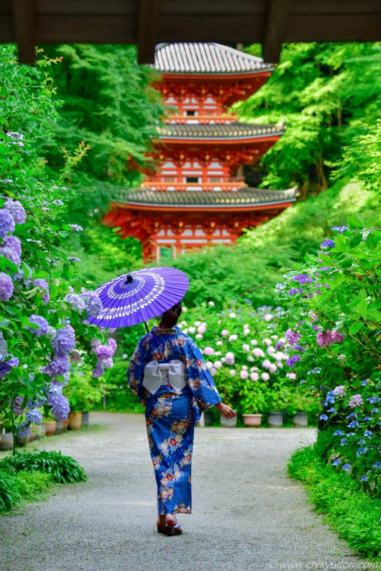 ７月２６日から３０日までの出勤予定