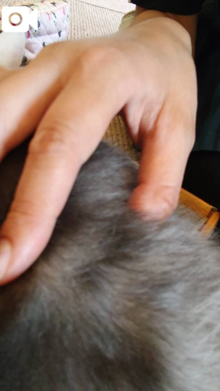 なでなで