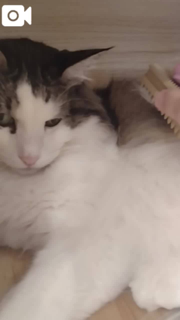 ほっとひと息😻
