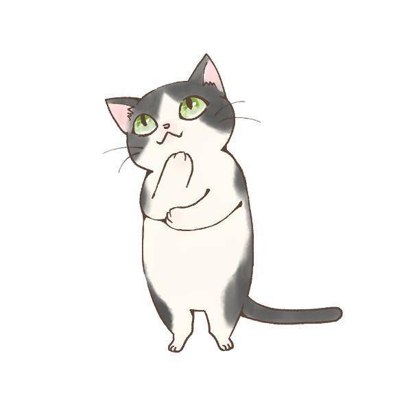たまちゃん　新妻　体験
