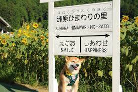 さゆり　　指名料無料中