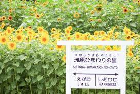 さゆり　　指名料無料中