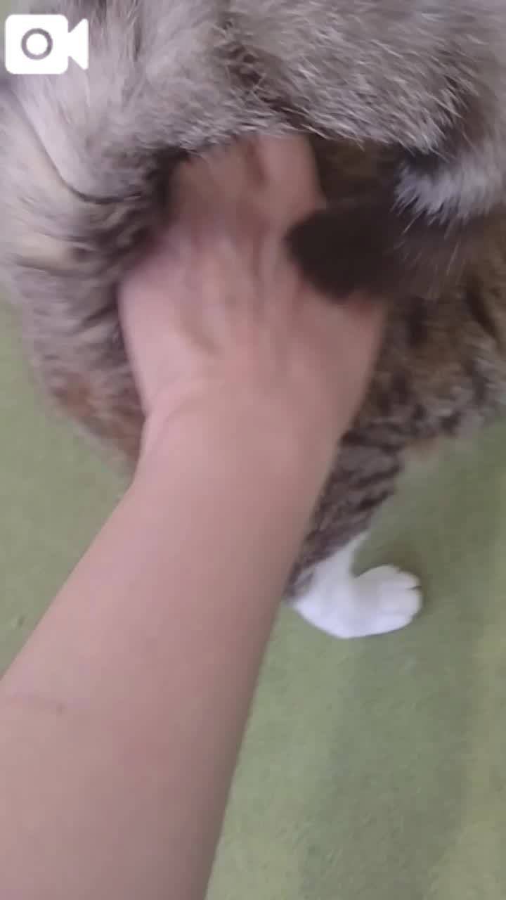 ほっとひと息😻