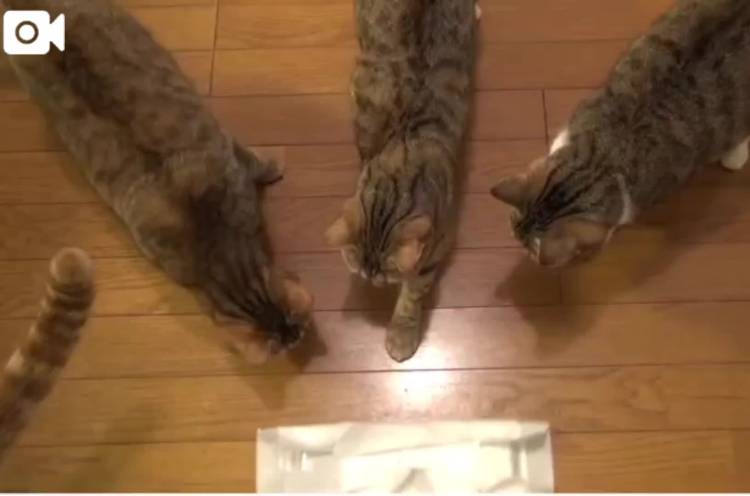 あっ…早速…（笑）
