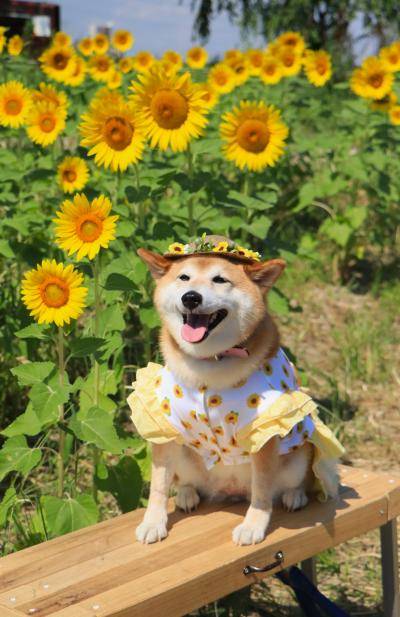 ８月になって初めての日曜日