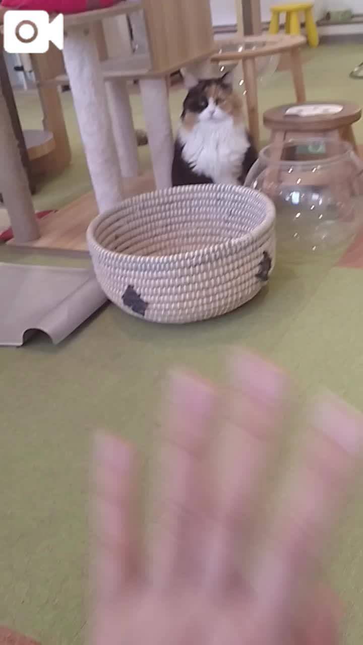 ほっとひと息😻