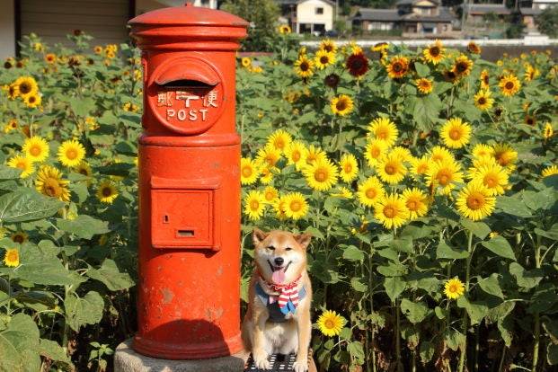 ８月になって初めての月曜日