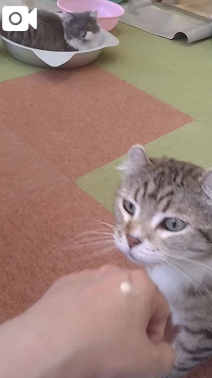 ほっとひと息😻