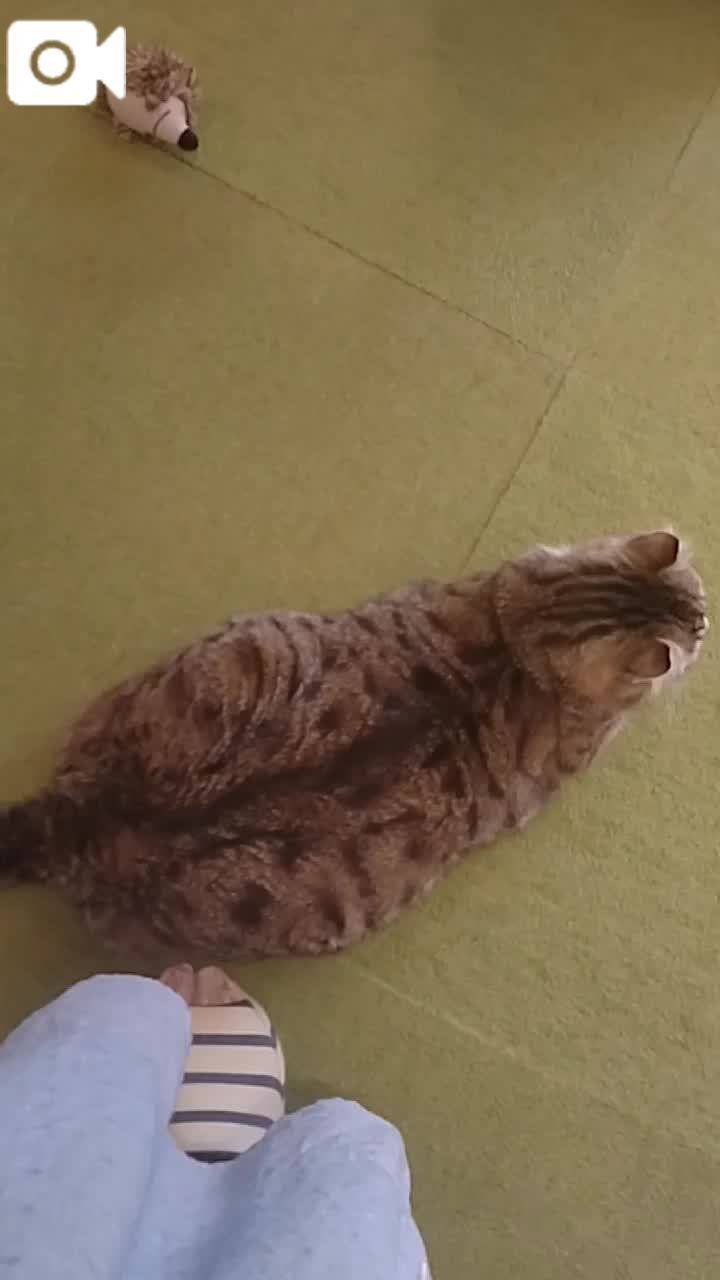 ほっとひと息😻
