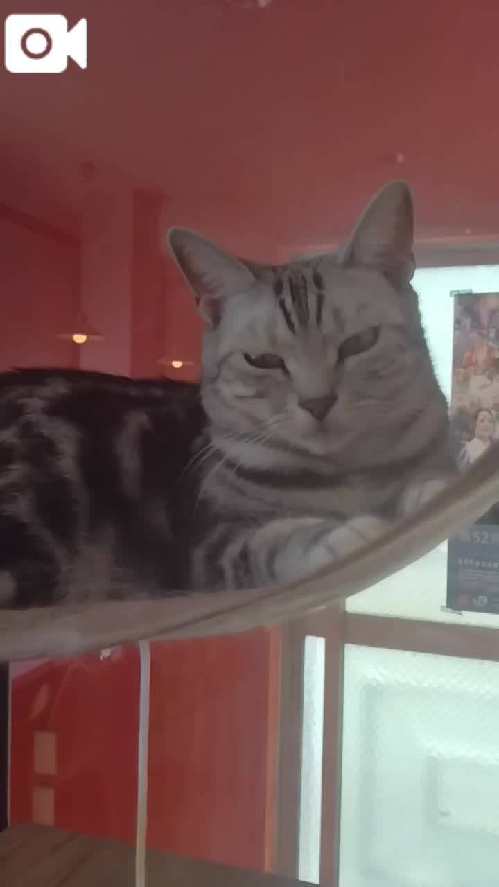ほっとひと息😻