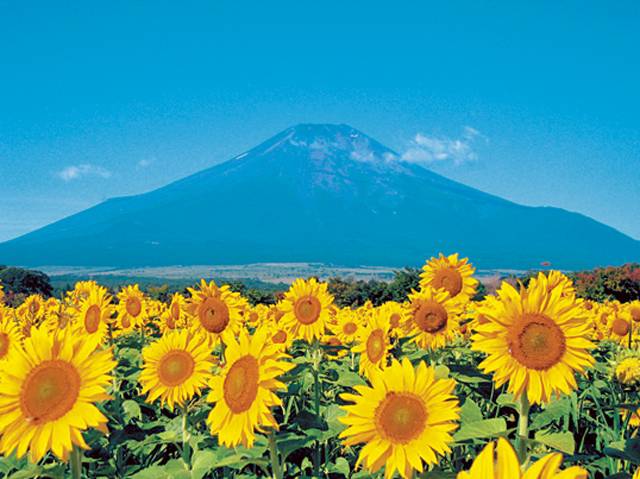 ８月になって初めての木曜日
