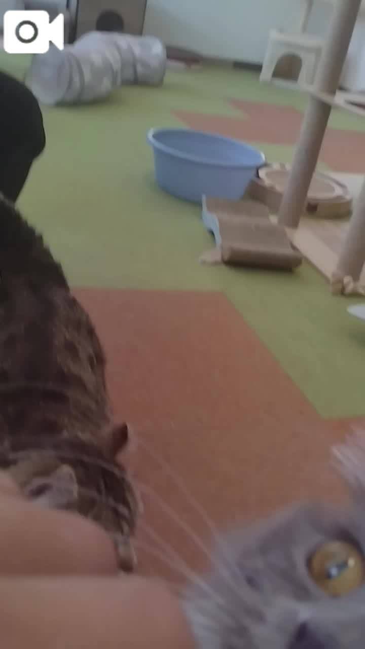 ほっとひと息😻