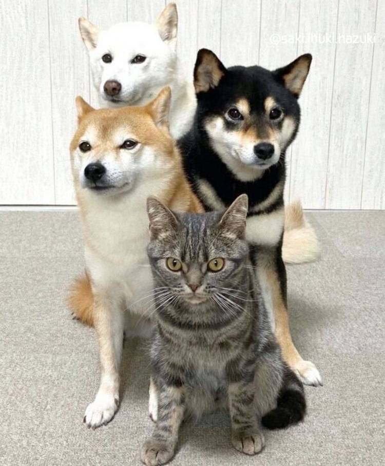 ありがとうございました