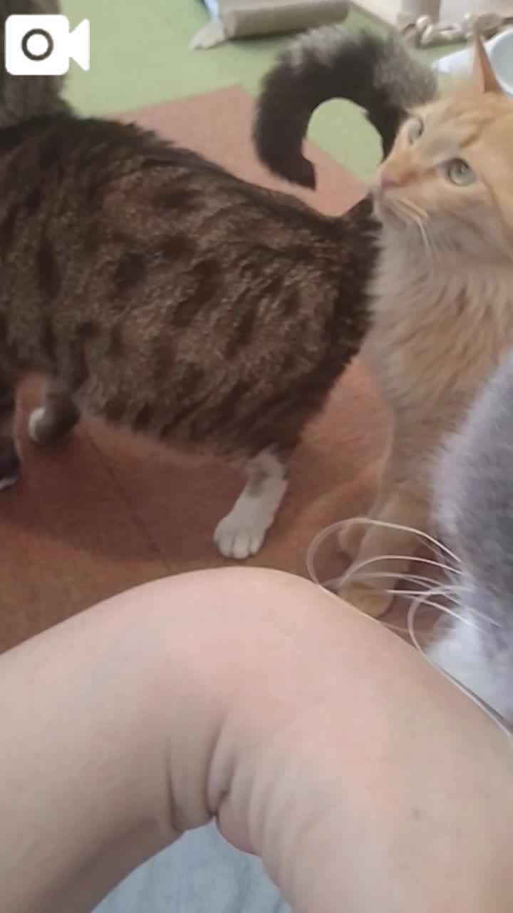 ほっとひと息😻