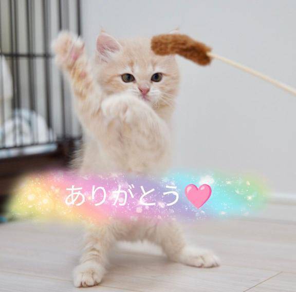 まい 癒し系　ローション風呂