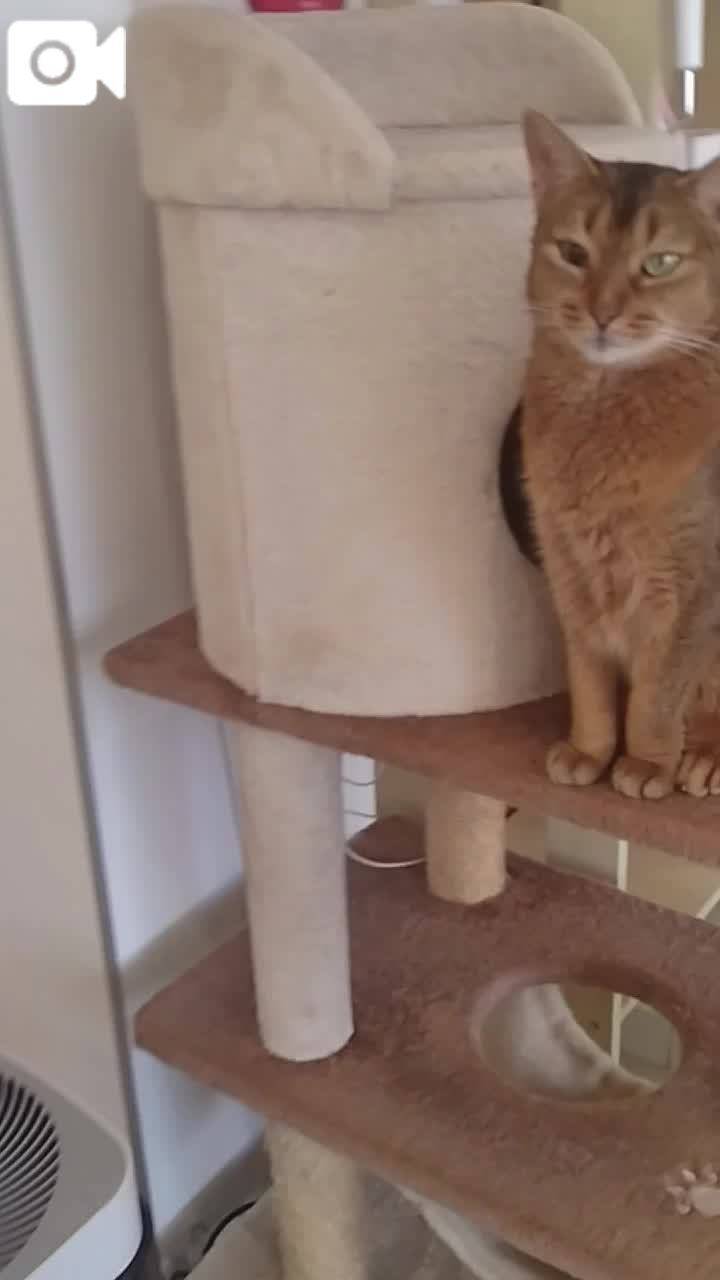 ほっとひと息😻