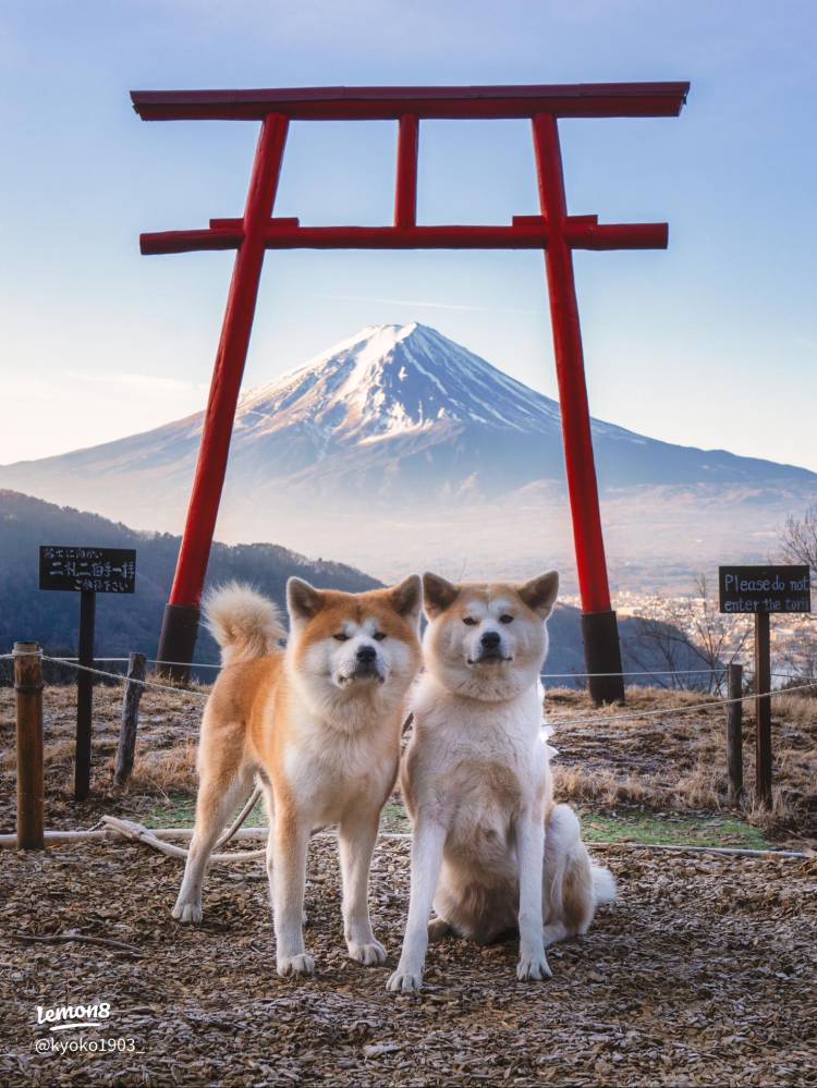 本日も宜しくお願いいたします