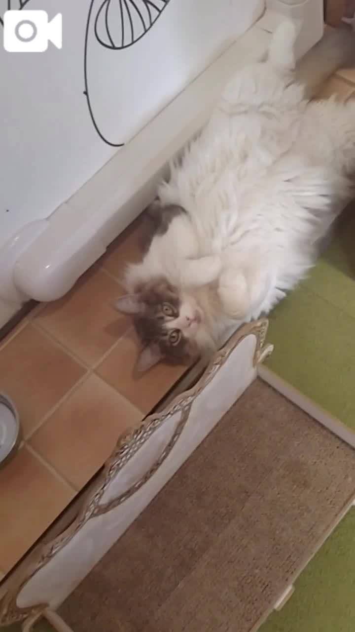 ほっとひと息😻