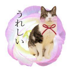 お誘いくださり、どうもありがとうございました😊
