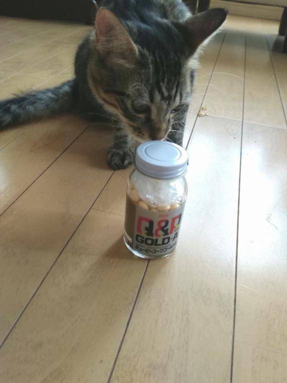 まいの癒しのラブレター🩷💘