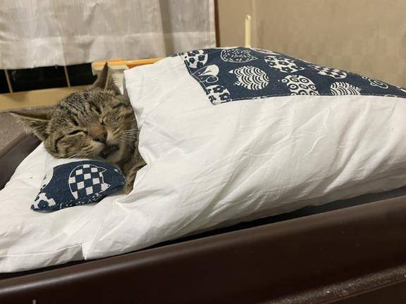 ちょっと起きてしまいました（笑）