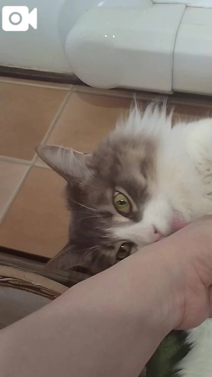 ほっとひと息😻