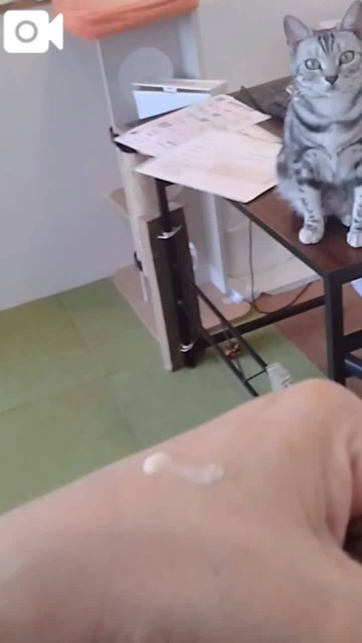 ほっとひと息😻