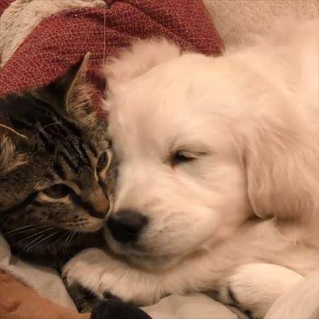 お迎えまちの涼しさ💕🩷
