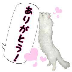 アリサ新人　ナースで夜這い