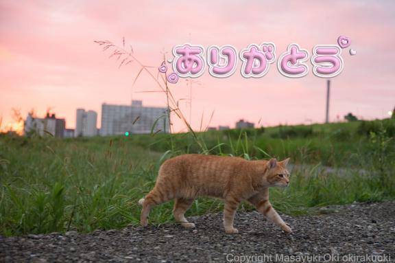 まい 癒し系　ローション風呂
