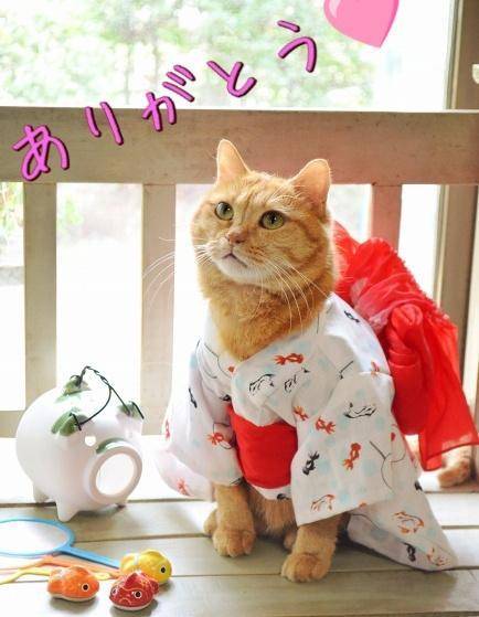 （笑）やってしまいました🩷☺️でも夢の中で…