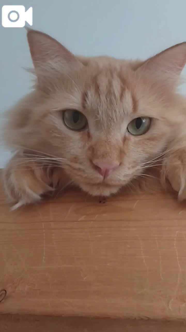 ほっとひと息😻