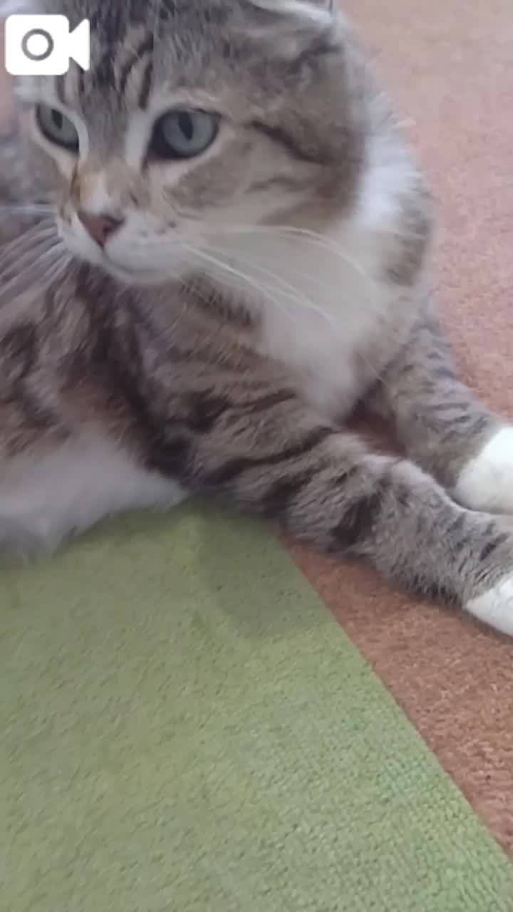 ほっとひと息😻