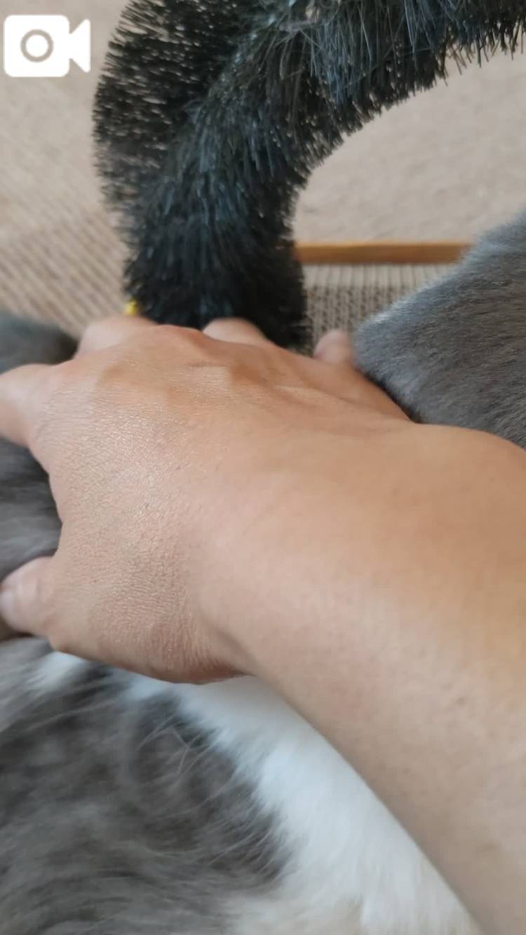 なでなで