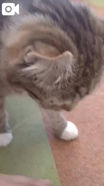 ほっとひと息😻