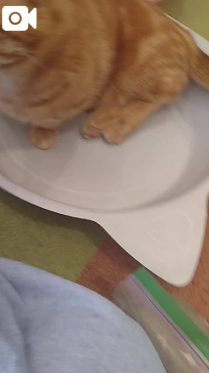 ほっとひと息😻