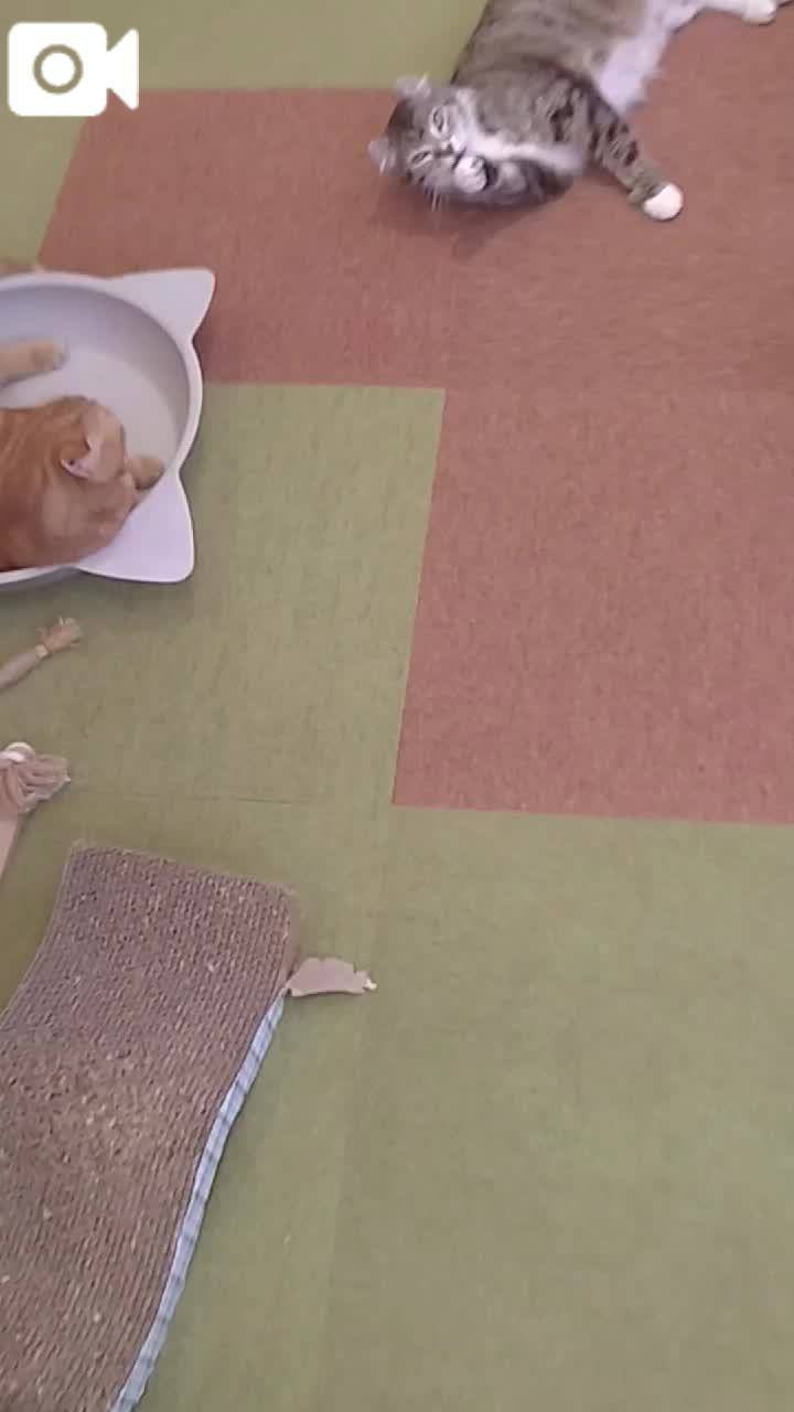 ほっとひと息😻