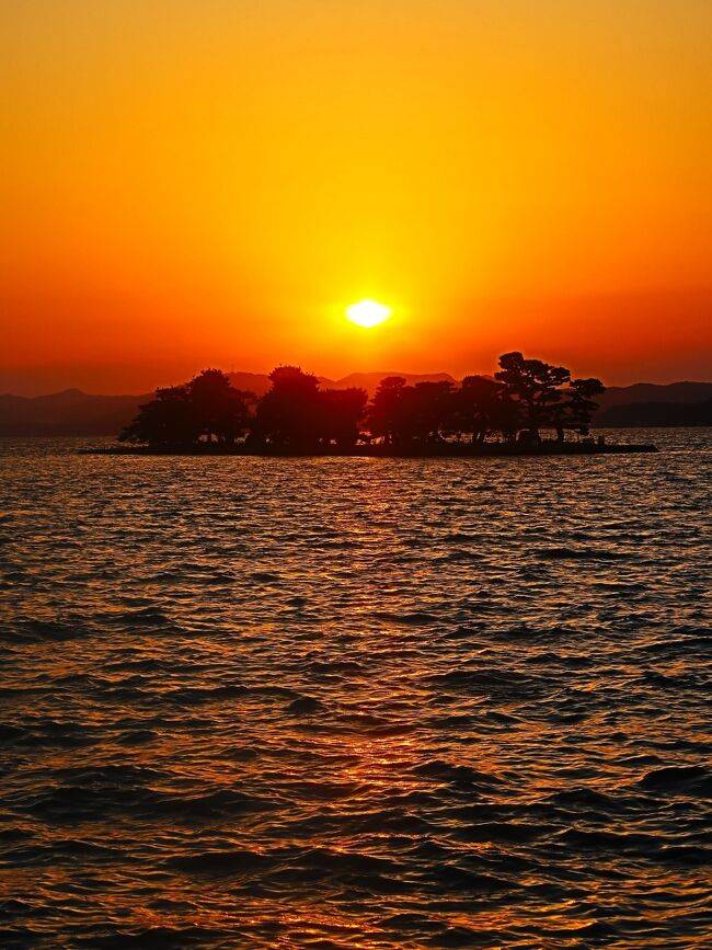 リピーターのＯ様に感謝～です