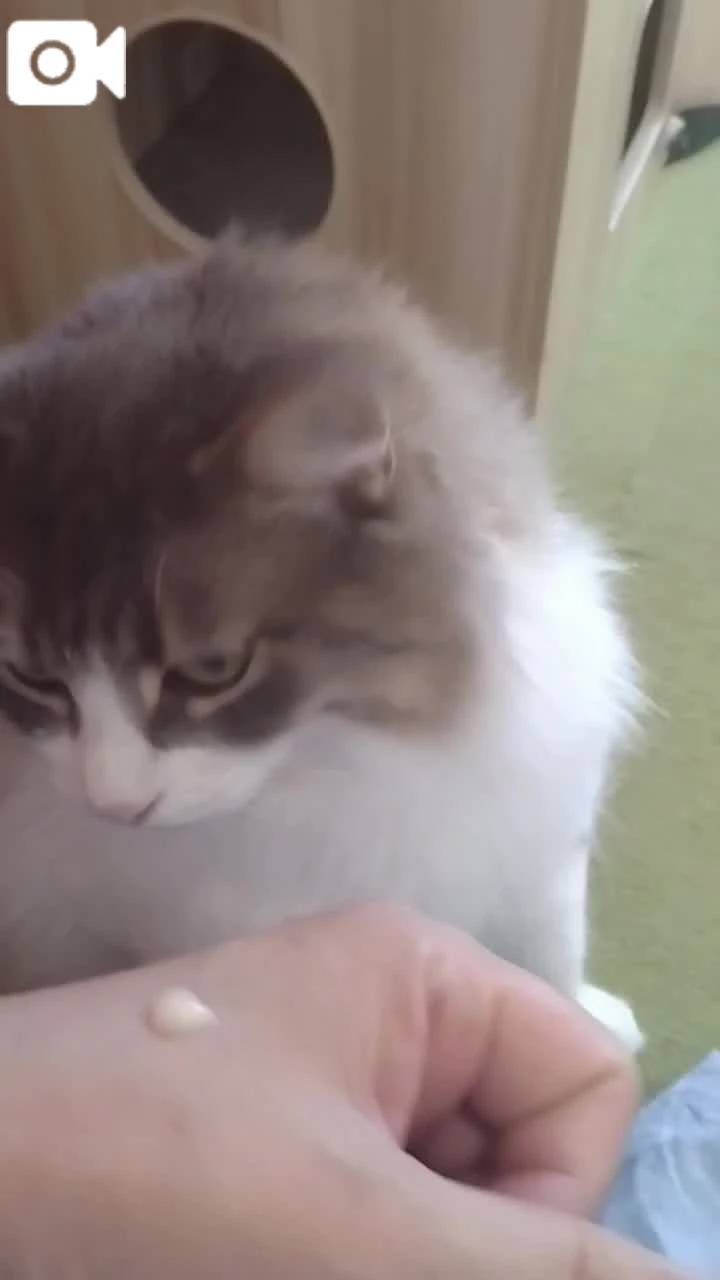 ほっとひと息😻