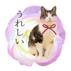 お誘いくださり、どうもありがとうございました🙇