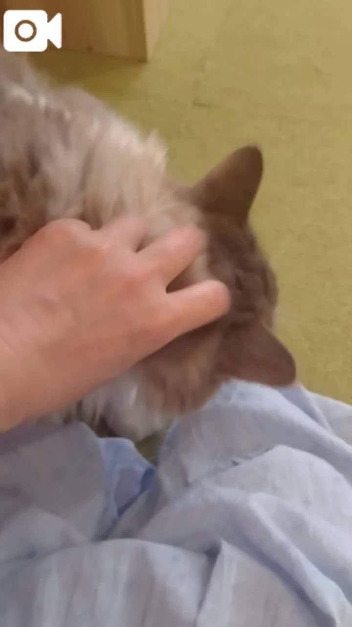 ほっとひと息😻
