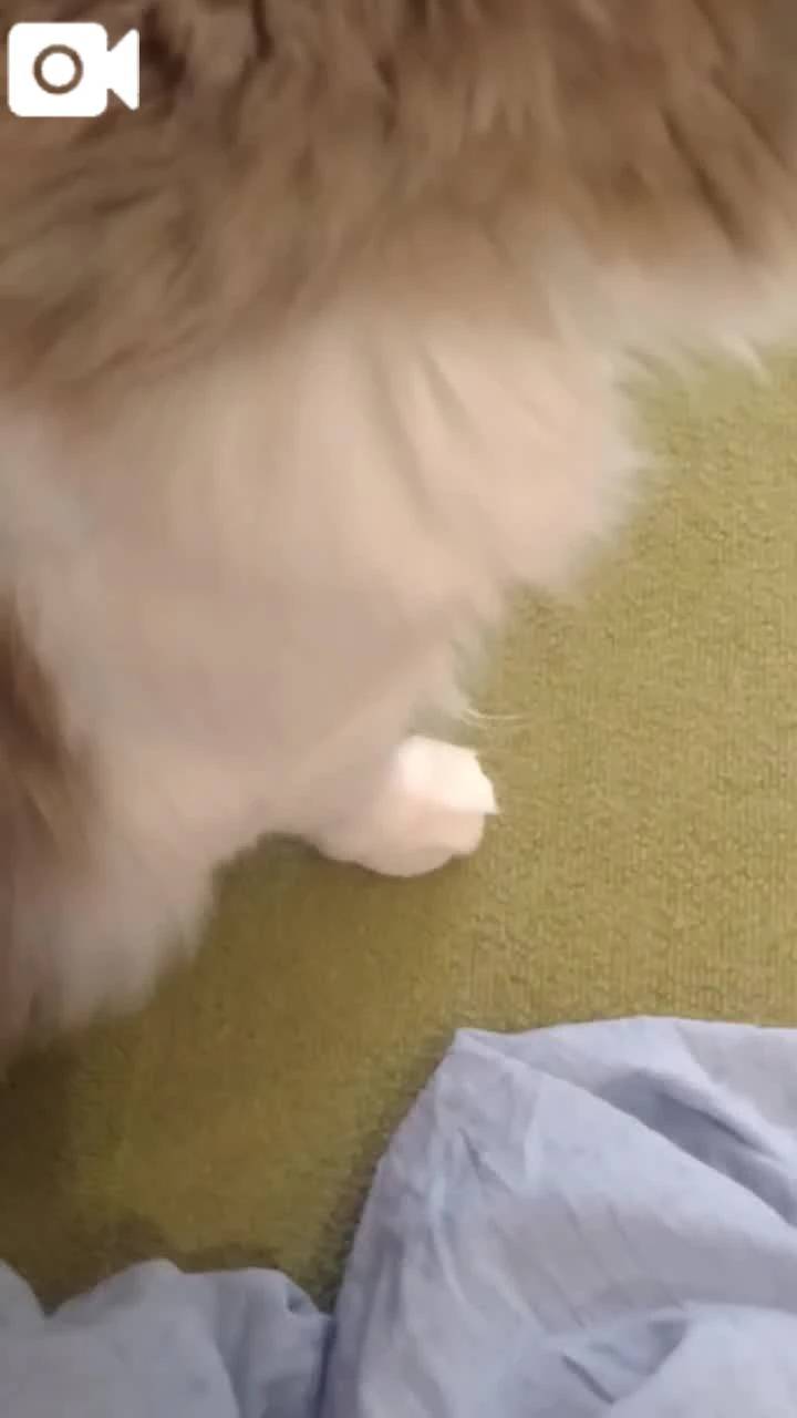 ほっとひと息😻