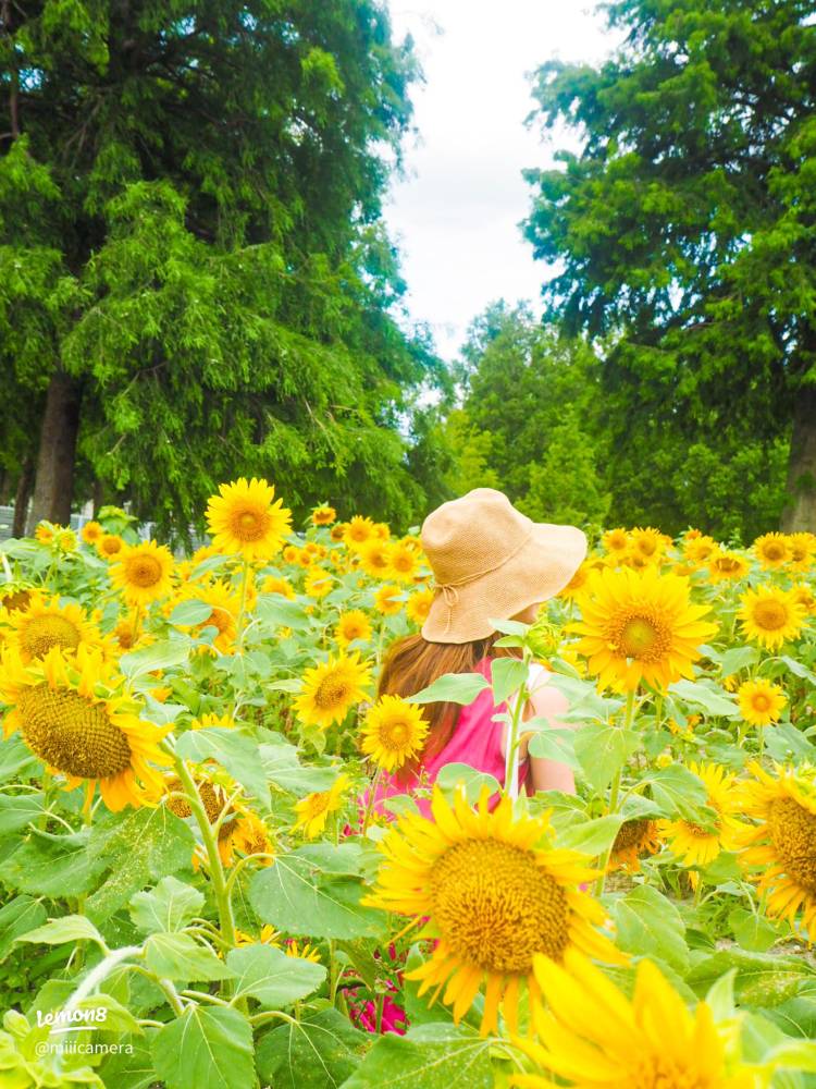 今月最後の火曜日