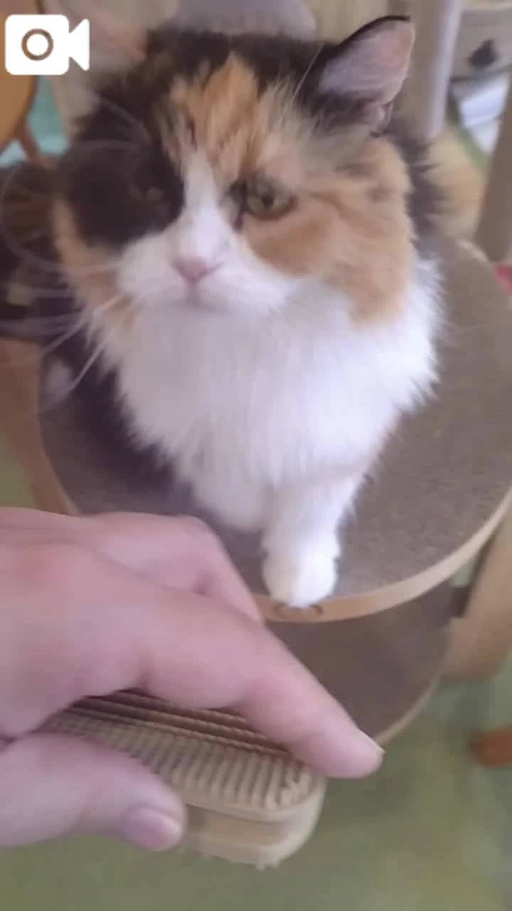 ほっとひと息😻