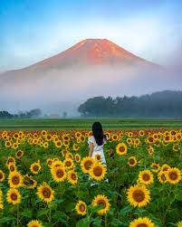 今月最後の金曜日