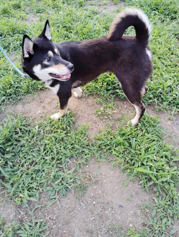 おはようございます😊