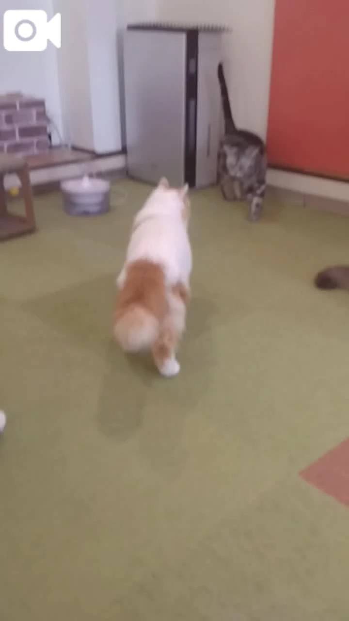 ほっとひと息😻