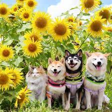 ありがとうございました