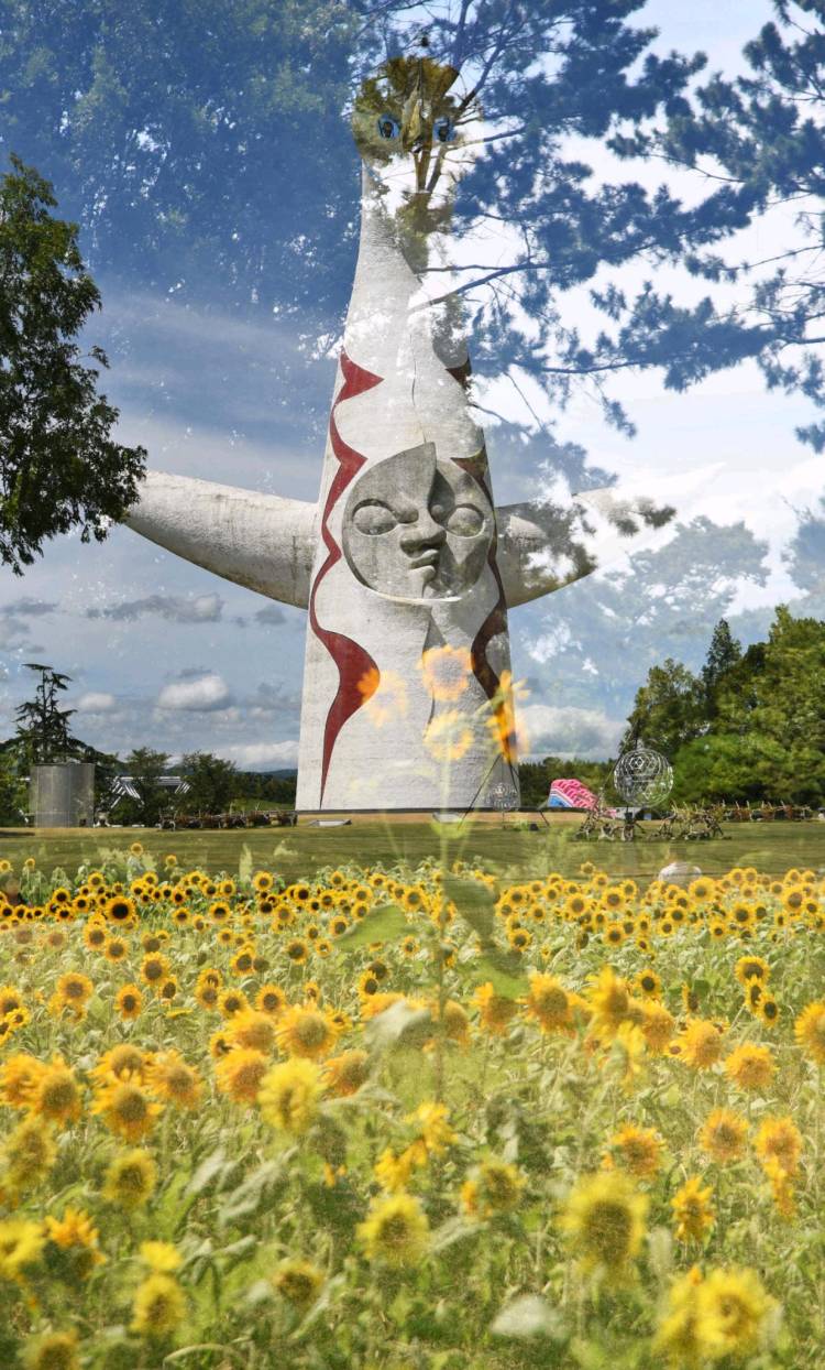 ９月になって初めての水曜日